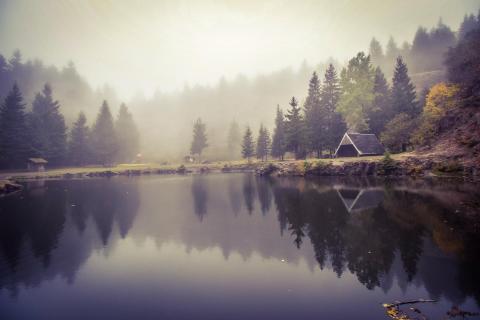 39 Herbst im Nebel_Matthias_Roos
