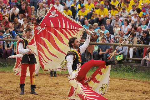 Der Fahnenschwinger