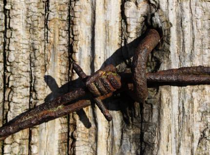 Rusty Barbed