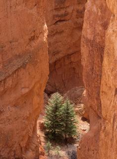 Bryce Canyon