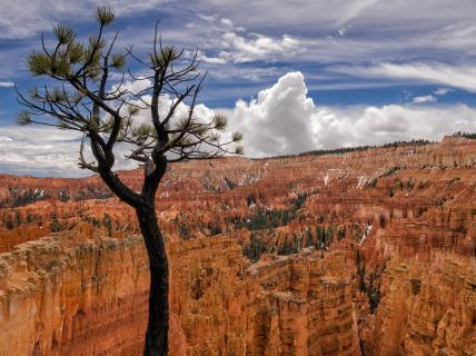 Bryce canyon