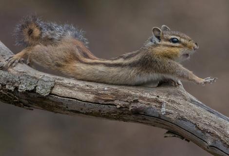 Stretching