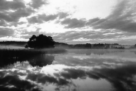 Morgenstimmung am See