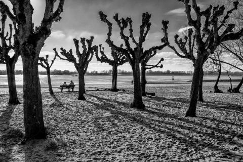 Am Elbstrand
