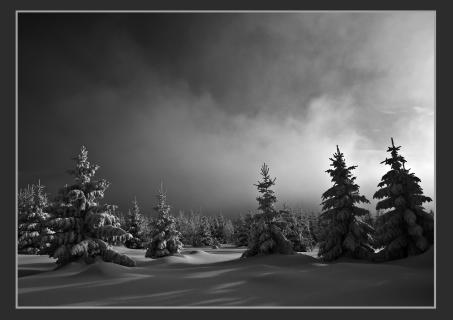 Winter im Brockenfeld