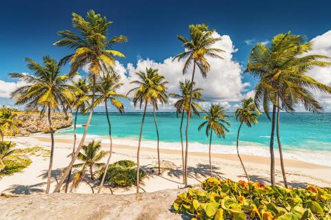 Bottom Bay - Barbados