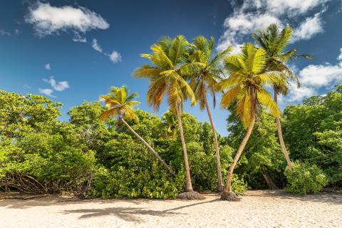 Karibik Martinique