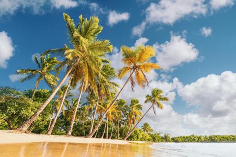 karibik, martinique