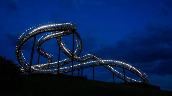 Tiger and Turtle