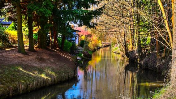 Burg im Spreewald - Fließe im Frühling