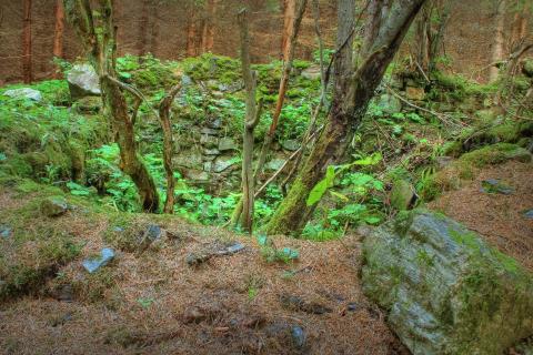 Verfallenes Gebäude in einem Waldstück