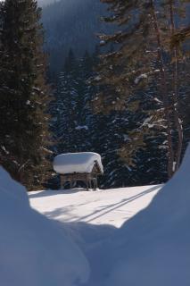 Wildfütterung im tiefsten Winter