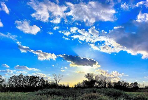 Natur