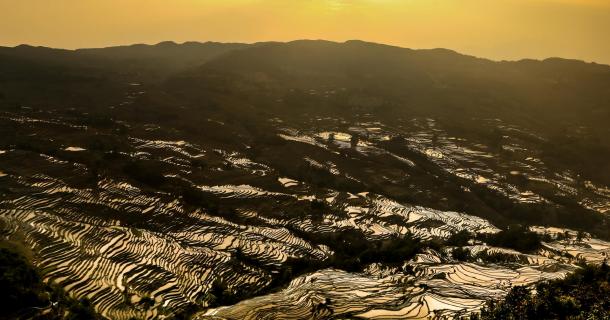 Reisterrassen in Yuanyang