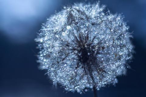 Glitzerball