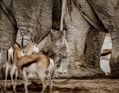 Croded Waterhole