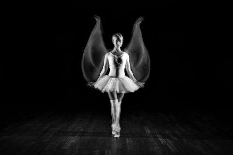 Ballet in Motion