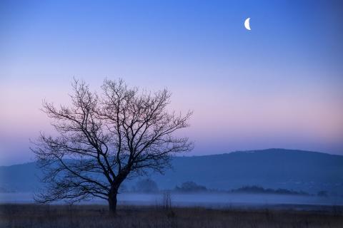 Moor in der blauen Stunde