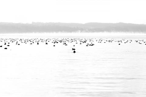 31. Oktober 2017 Frank Lehmann DigitalPhoto-Schwarzweiß-2019-4