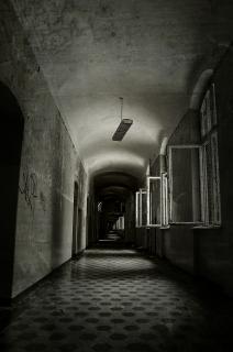The Long Pathway