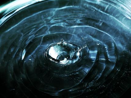 Splash