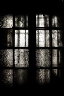 The Window