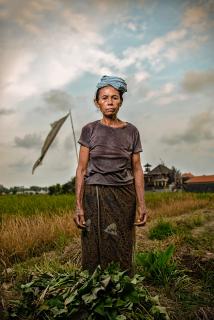 INSIDE BALI - Woman on Field