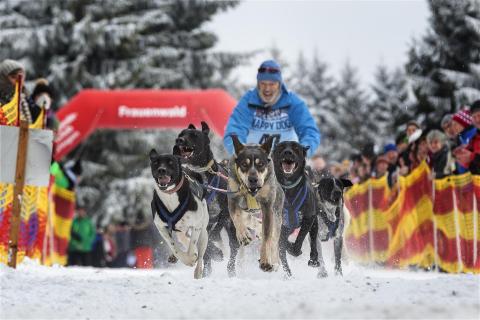 Hundeschlittenrennen Start
