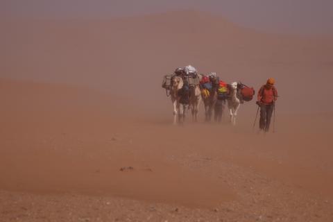 Sandsturm in der Namib