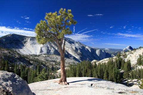 Tioga Pass Yosemite-Nationalpark