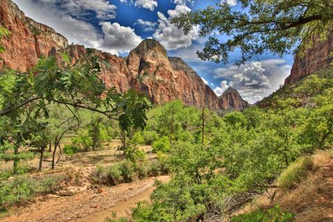 Zion Valley