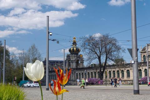 Tulpen und Kronentor