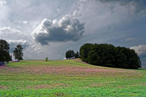 Die Wolke