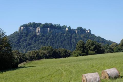 Blick zur Festung Königstein