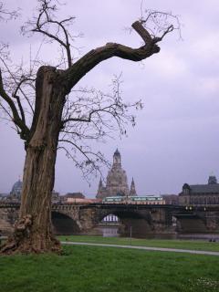 Dresden-Ansicht - auf Canalettos Spuren