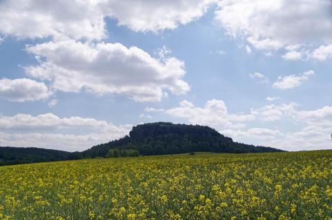 Pfaffenstein und Raps