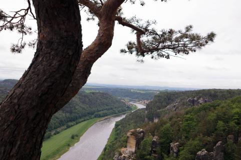 Elbe bei Rathen