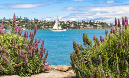 Sausalito an der Bucht von San Francisco 