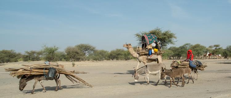 Nomaden im Tschad
