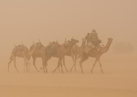 Wegsuche im Sandsturm