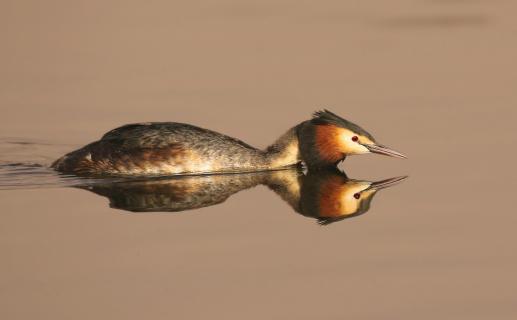 02 Spiegelung im Wasser_Michael_Milfeit