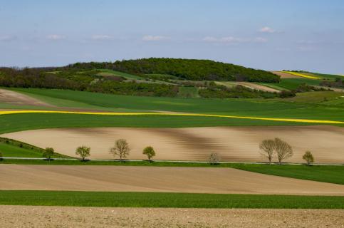 Frühling