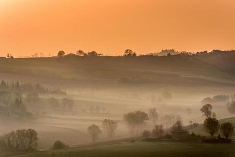 Nebliger Morgen