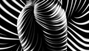 Abstrakte Aktfotografie (Bodypainting, Zebra)