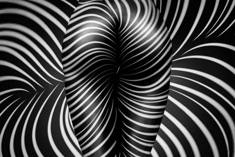 curves & contrasts - zebra bodypainting nude art
