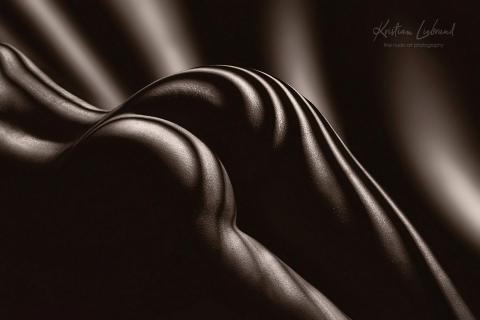 zebra light affair - fine nude art - Aktfotografie