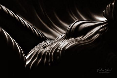 Licht - Linien - Leidenschaft (fine zebra nude art - Aktfoto