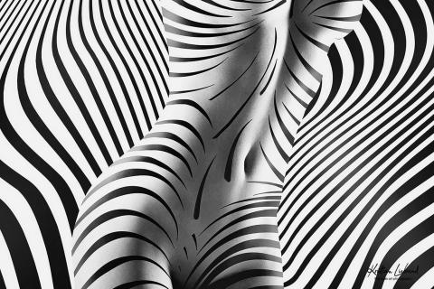 Fine Zebra Nude Art (Abstrakte Aktfotografie Kunst)