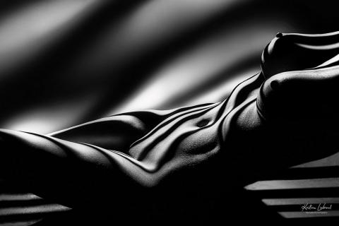 Licht und Schatten in der Aktfotografie (fine zebra nude art