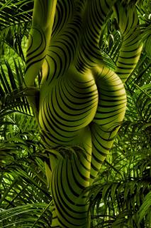 jungle zebra nude art (Aktfotografie Bodypainting Dschungel)